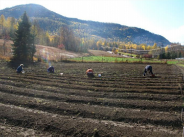 Agricultural Potential of the West Kootenay: A Regional Review of the Land, Soil and Climate for Crop Potential