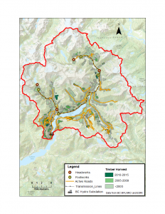 Run-of-River Hydroelectric Projects and Cumulative Impacts in British Columbia