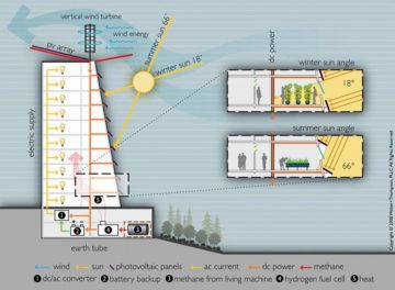 Vertical Farming Feasibility: The Opportunities and Challenges of Adapting Vertical Agriculture