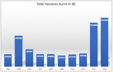Impacts of Wildfires on Environmental and Human Health in British Columbia