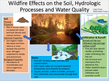 A Review of Wildfire Effects on Soils, Hydrologic Processes and Water