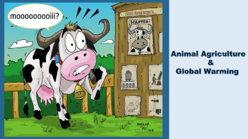 Assessment of GHGs from Animal Agriculture with a Focus on Manure Application and Dairy Operations