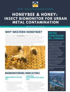 Western Honeybee and Honey as Biomonitor for Urban Metal Contamination: with Case Study in Metro Vancouver, British Columbia, Canada