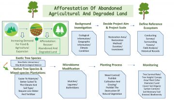 Afforestation of Abandoned Agricultural and Degraded Land
