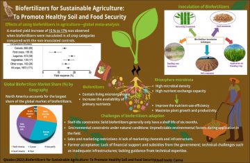 Biofertilizers for Sustainable Agriculture: To PromoteHealthy Soil and Food Security