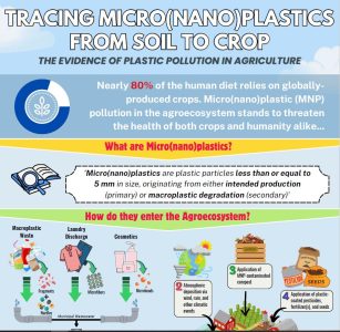 Tracing Micro(nano)plastics from Soil to Crop: The Evidence of Plastic Pollution in Agriculture